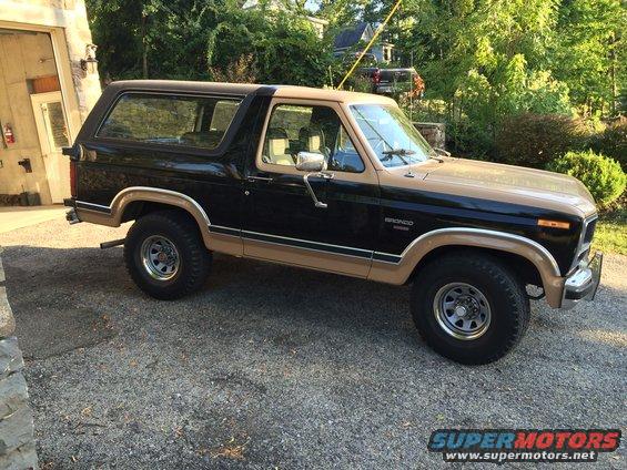 1983 Ford Bronco XLT custom build