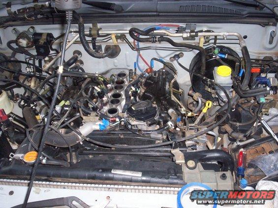 2001 Nissan xterra head gasket leak #1