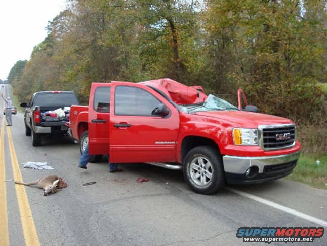 Deer hit bmw 140 mph #5