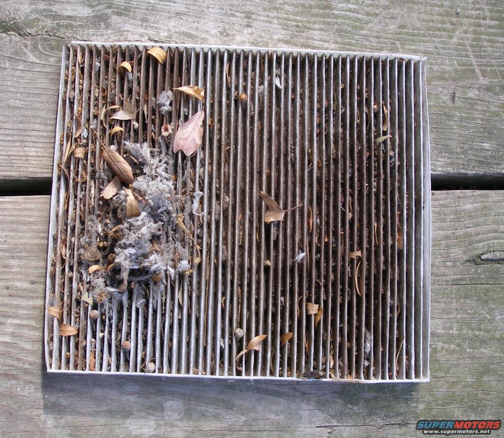 cabin-filter-coupe.jpg