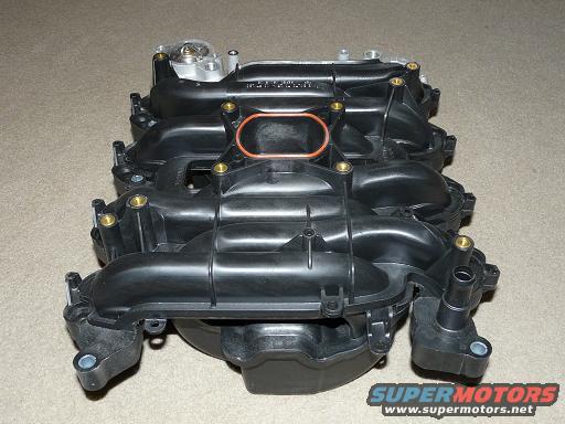 Dorman Intake Manifold - review with 15 pics | 4.6L Based