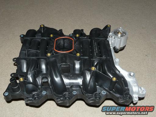 Dorman Intake Manifold - review with 15 pics | 4.6L Based