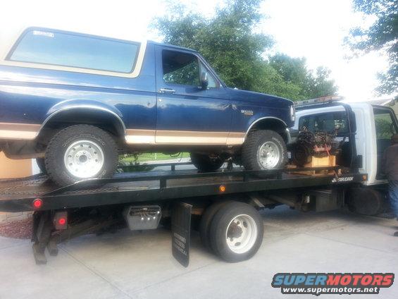 Ford bronco rear main seal #5