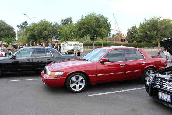 img_1253.jpg 