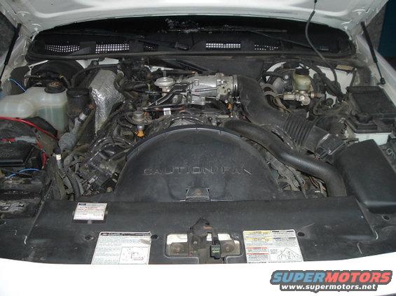 under-hood.jpg 