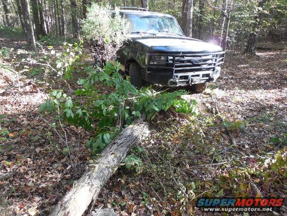 9330tree1a.jpg This dead tree was near a trail I was blazing, so I pushed it over.

It (or one of the others I knocked down today) got into the tie rods & bent the drag link.