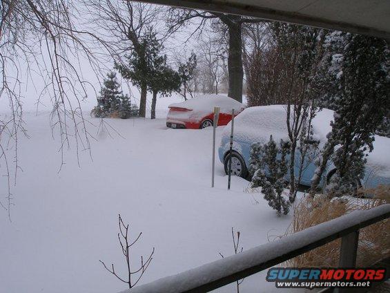 snow-and-cars.jpg 