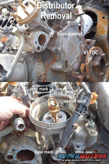 04dist.jpg Snatching a distributor out without preparing makes it much harder to put back.  I prefer to mark the base in relation to the block (near the clamp bolt in this case) and the rotor on the bowl at #1TDC while it's still seated in the engine.  Then when the distributor comes STRAIGHT up enough for the gears to disengage, I make a 2nd mark so it's easy to drop the distributor back onto the correct tooth later.

5.0L/5.8L Timing Pointer F1TZ6023A/E3AZ6023A, Jegs [url=https://www.jegs.com/i/JEGS/555/50309/10002/-1]55550309[/url]

Distributor Clampdown  24-33 Nm; 17-25 lb-ft

[url=https://www.supermotors.net/registry/media/1127636][img]https://www.supermotors.net/getfile/1127636/thumbnail/distholddown.jpg[/img][/url]