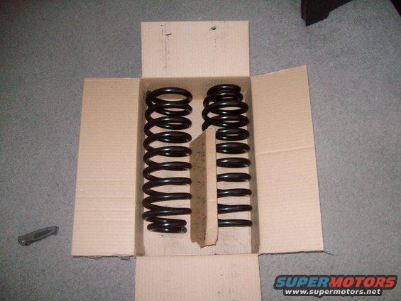 more006.jpg New Front Springs