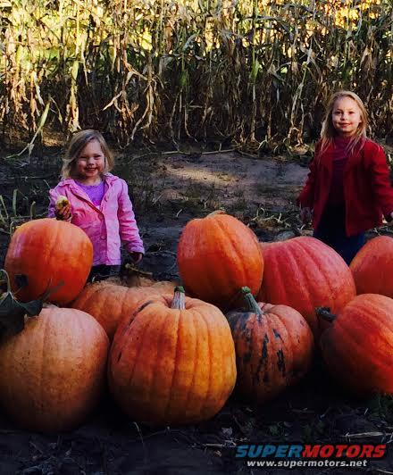 gkids-with-pumpkins.jpg 