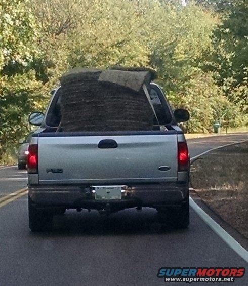 grassstrap.jpg If you want to haul a ton of sod in your half-ton pickup, be sure to strap the grass down.