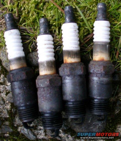 p1030231--old-spark-plugs.jpg Old spark plugs weren't looking so good...