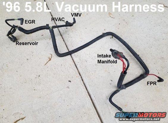 vachrns.jpg '96 5.8L Engine Vacuum Harness (no 2ndry air or MAP)

[url=https://www.supermotors.net/registry/media/1151310][img]https://www.supermotors.net/getfile/1151310/thumbnail/09vacsilicone.jpg[/img][/url] . [url=https://www.supermotors.net/registry/media/1090170][img]https://www.supermotors.net/getfile/1090170/thumbnail/siliconevac.jpg[/img][/url]