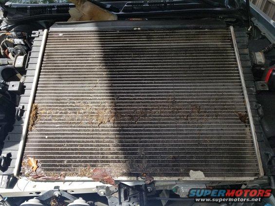 20180814_114813.jpg In addition to all the dirt & leaves, there were some bent fins in the radiator & condenser.