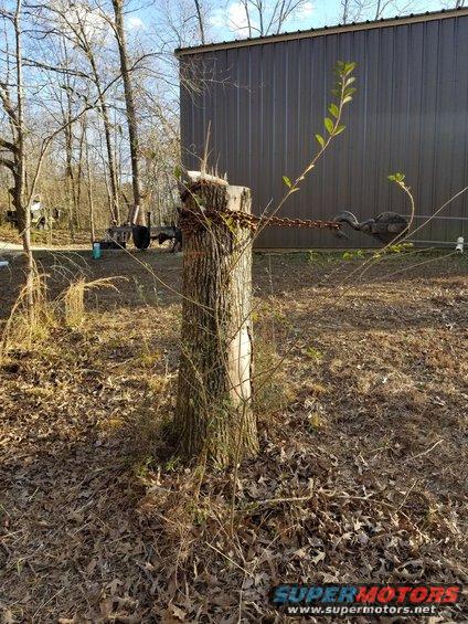 shopstump13.jpg Even though the winch is at full-stall, it doesn't even look like there's any tension on it.  It's not leaning, and the ground behind it isn't lifting at all.