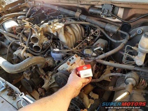 20191231_145248.jpg The main problem was a ruptured fuel pressure regulator (FPR).
IF THE IMAGE IS TOO SMALL, click it.

[url=https://www.supermotors.net/registry/media/283795][img]https://www.supermotors.net/getfile/283795/thumbnail/fpr.jpg[/img][/url]

To get at it, I had to remove the throttle air hoses (so I pulled the filter box to wash it out), most of the secondary air control valves, and the coil bracket.  The [url=https://www.amazon.com/dp/B000C5BK5M]MotorCraft CM4764[/url] FPR is ~$85, so I opted for this ~$25 [url=https://www.amazon.com/dp/B000C83QCO]Standard PR15[/url] because it's a brand I trust.

I also pulled the fan & shroud to clean & inspect more of the engine. I still have to repair an exhaust leak on the Right side (due to someone installing gaskets), and I want to change the engine mounts, so I might pull the Left side manifold, too.

[url=https://www.supermotors.net/registry/21191/71870-2][img]https://www.supermotors.net/getfile/770511/thumbnail/12greaseman.jpg[/img][/url]