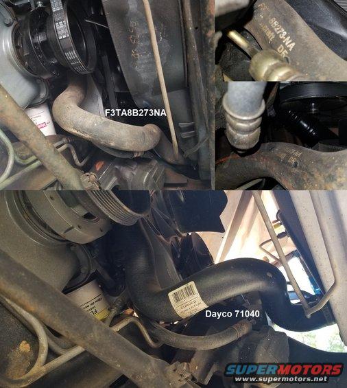 radhoselwrv8noil.jpg V8 Lower Radiator Hose w/o Oil Cooler F3TA8B237NA [url=https://www.amazon.com/dp/B001O4MU8G]Dayco 71740[/url] or [url=https://www.amazon.com/dp/B000C0UNJQ]Dayco 71040[/url], [url=https://www.amazon.com/dp/B000C2UAYM]Gates 21216[/url] 

[url=https://www.supermotors.net/registry/media/1127377][img]https://www.supermotors.net/getfile/1127377/thumbnail/oil_cooler.jpg[/img][/url]
V8 oil cooler hose [url=https://www.amazon.com/dp/B000C0WMU4]Dayco 71735[/url], [url=https://www.amazon.com/dp/B000C2UCM2]Gates 22401[/url] or [url=https://www.amazon.com/dp/B000C2UCLI]Gates 22402[/url]
V8 lower w/oil cooler [url=https://www.amazon.com/dp/B000C0TDCY]Dayco 71732[/url], [url=https://www.amazon.com/dp/B000C2SAVM]Gates 22143[/url] or [url=https://www.amazon.com/dp/B000C2UD1C]Gates 22541[/url]

V8 Upper F1TA8B274TA [url=https://www.amazon.com/dp/B000C0TCQG]Dayco 71317[/url] or [url=https://www.amazon.com/dp/B01M72EY3L]Dayco 72691[/url], [url=https://www.amazon.com/dp/B000C2WD5G]Gates 22142[/url]