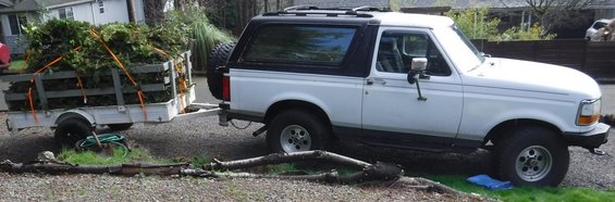 dscf2985--ice-storm-cleanup.jpg Cleaning up the rest of the debris from the ice storm; first time towing with the manual transmission.  That's twice as much volume as it looks...the ratchet straps are compressed as tight as possible to get it down that much.  Among many other branches and trunk portions in there are the top ~30' of two separate evergreens.

The city opened up several dump sites, so no scales to go across and see how much it weighed.  I'm guessing close to 2,000 lbs with the 600 lb or so trailer weight, although it didn't feel a whole lot lighter than the 4,000 lbs I've towed on the dolly.