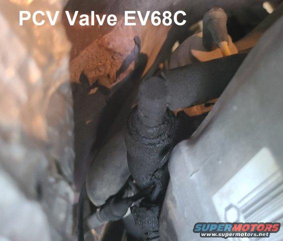 3engpcv.jpg The PCV valve looks to be factory.

[url=https://www.supermotors.net/registry/media/833143_1][img]https://www.supermotors.net/getfile/833143/thumbnail/maintsched92.jpg[/img][/url]

Supply & install new [url=https://www.amazon.com/dp/B000C5FJG8]MotorCraft EV68C PCV valve[/url] $25 ***********