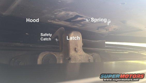 hoodlatchspring.jpg Hood Latch Spring
IF THE IMAGE IS TOO SMALL, click it.

If the hood jams, it may be due to the spring inside the hood working its way behind the latch on the core support.