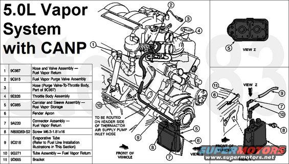 vapor50l92.jpg '87-95 5.0L MAP Vapor System with CANP
IF THE IMAGE IS TOO SMALL, click it.

The Evaporative Emission (EVAP) system prevents fuel vapor build-up in the sealed fuel tank. Fuel vapors trapped in the sealed tank are vented through the vapor valve assembly on top of the tank. The vapors leave the valve assembly through a single vapor line and continue to the EVAP canister (located in the engine compartment, in the rear of vehicle near luggage compartment area or along the frame rail) for storage until the vapors are purged to the engine for burning.

There are 2 types of Evaporative Emission (EVAP) systems: the Evaporative Emission (EVAP) Purge Flow system using a CANP from '87-95 with MAP EFI; the Vapor Management Flow system using a VMV from '94-96 with MAF EFI.

Physical damage, leaks, and missing items are the common causes of evaporative emission system faults. Fill cap damage or contamination that renders the pressure-vacuum valve inoperative may result in deformation of the tank. Care should always be exercised to make sure the fill cap is in working order.

See also:
[url=https://www.supermotors.net/registry/media/1159308][img]https://www.supermotors.net/getfile/1159308/thumbnail/canp.jpg[/img][/url] . [url=https://www.supermotors.net/registry/media/244698][img]https://www.supermotors.net/getfile/244698/thumbnail/fuel-lines-95-bronco.jpg[/img][/url]