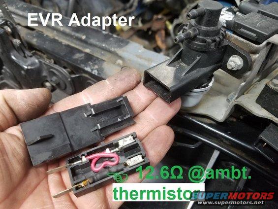 evradapter.jpg EVR Adapter

Some early EFI EVRs included an inline thermistor for temperature compensation.

See also:
[url=https://www.supermotors.net/registry/media/826382][img]https://www.supermotors.net/getfile/826382/thumbnail/egrtubesv8.jpg[/img][/url] . [url=https://www.supermotors.net/registry/media/173786][img]https://www.supermotors.net/getfile/173786/thumbnail/evrtest.jpg[/img][/url] . [url=https://www.supermotors.net/registry/media/1167873][img]https://www.supermotors.net/getfile/1167873/thumbnail/secondaryairvalves.jpg[/img][/url] . [url=https://www.supermotors.net/registry/media/71630][img]https://www.supermotors.net/getfile/71630/thumbnail/5.8l-left.jpg[/img][/url]