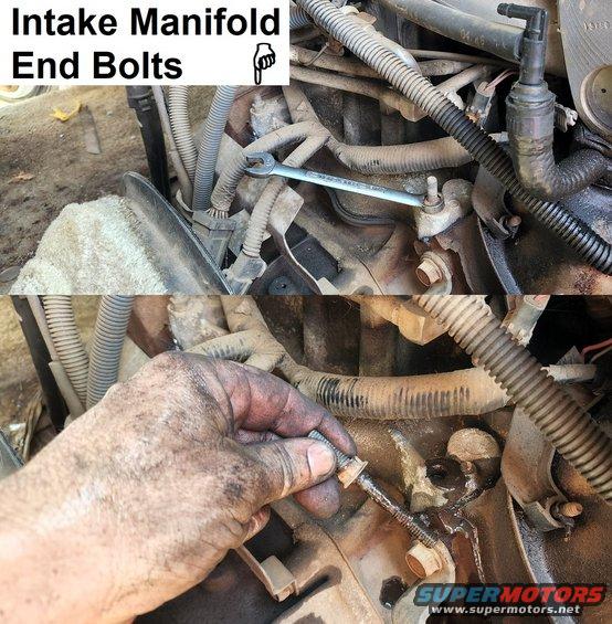 intakebolts.jpg V8 Intake Manifold Corner Bolts
IF THE IMAGE IS TOO SMALL, click it.

The left front corner bolt is shorter than the others, and the right front has no stud on top.