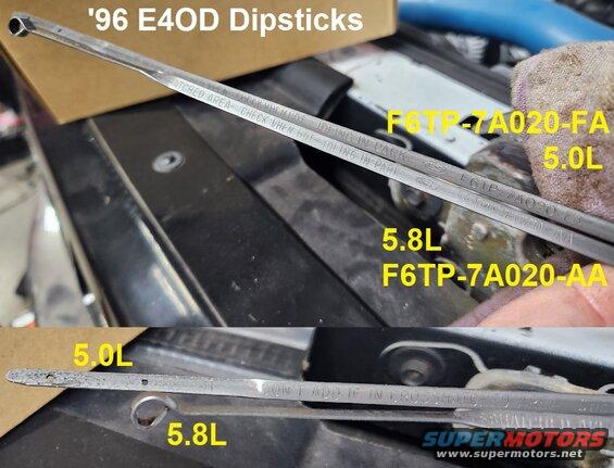 dipsticks96atfcmpr.jpg '96 E4OD Dipsticks
IF THE IMAGE IS TOO SMALL, click it.

Bronco & F-series E4OD dipsticks got noticeably longer in '96, and there's a different dipstick & tube for each engine. 