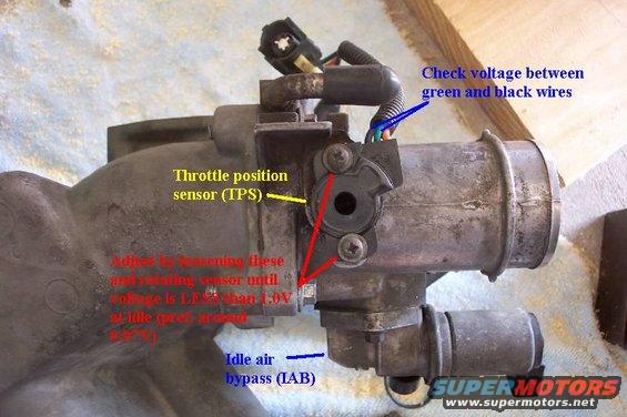 tb_bottom.jpg Throttle body and TPS adjustment