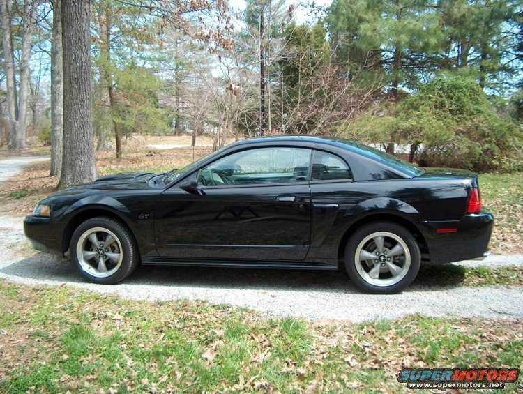 hpim0279.jpg The Mustang all clean for a change