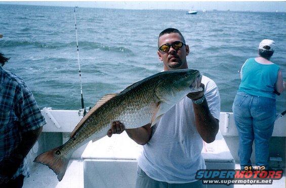 joe-fish-2.jpg 52 LB REDFISH GULF OF MEXICO