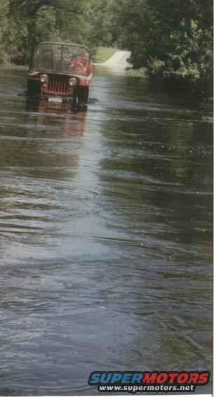 barkjeep.jpg Little Jeep trip down the flooded road