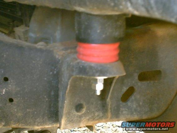 img00011.jpg Daystar polybushings (RED) with 2" body lift from Performance Connection.