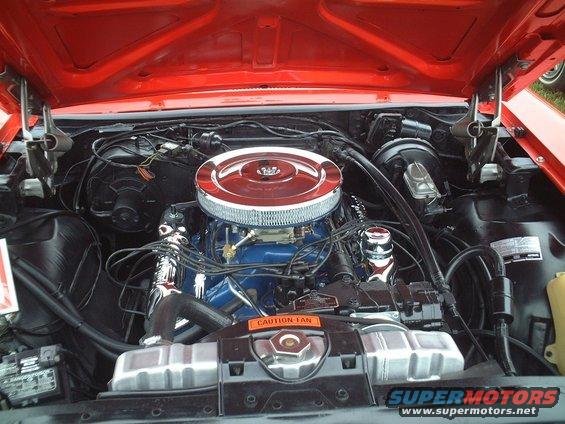 dscf0052.jpg The 428 engine was added this past winter, notice the griffin radiator, and the original 7 Litre air cleaner.
picture taken by E. Long at Carlisle Ford Nationals  Thanks