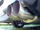 im000796.jpg Dual 3.5" tip DTM exhaust muffler. OH YEAH. ITS LOUD. VERY LOUD