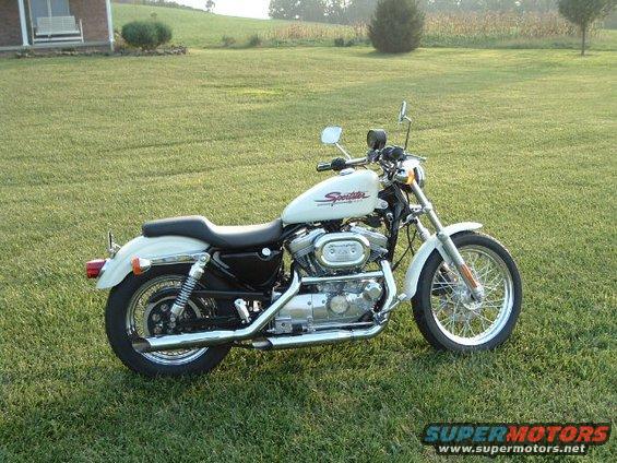 sportsters-018.jpg 