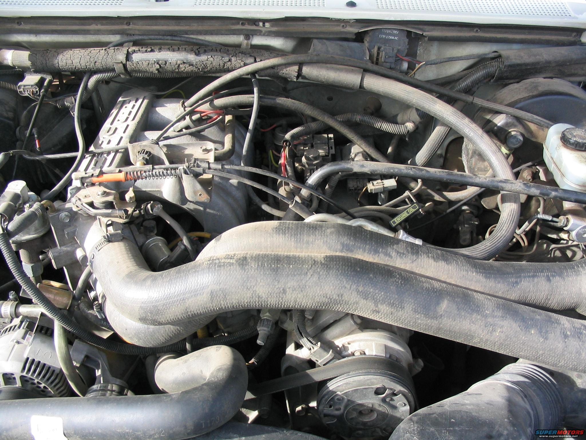 1988 Ford bronco ii engine #5