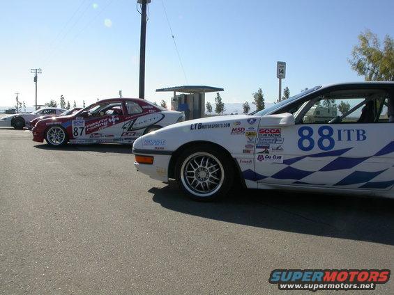 dscn1085.jpg Bunny at Buttonwillow Raceway park