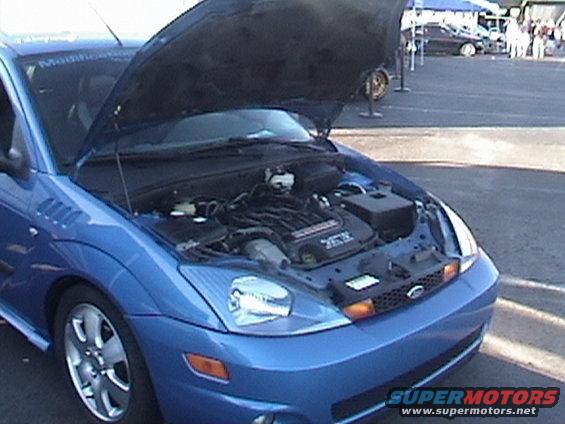 nopipics-020.jpg SVT Focus V6