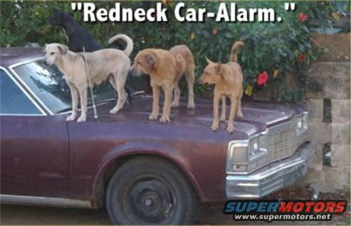 redneck-car-alarm.jpg Redneck Car Alarm