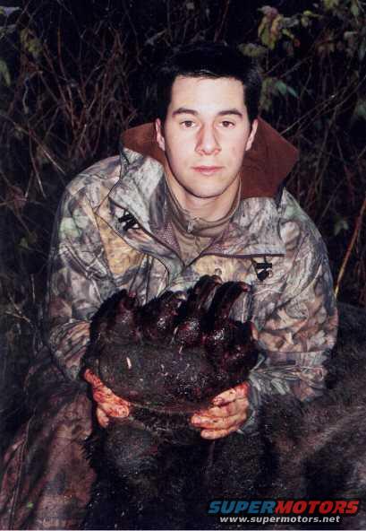 alaskabear2.jpg The largest grizzly on record, shortly after killing a person.