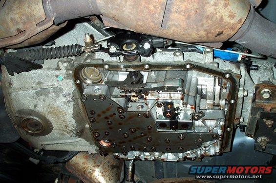 trans3-with-tailshaft-lube.jpg Note the addtional line for the the "lube mod".