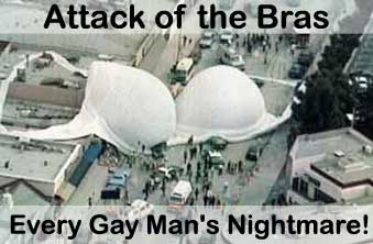 attackofthebra.jpg 