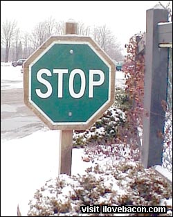 green-stop.jpg 