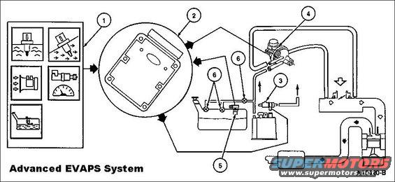 1994 Ford escort fuel tank size #2