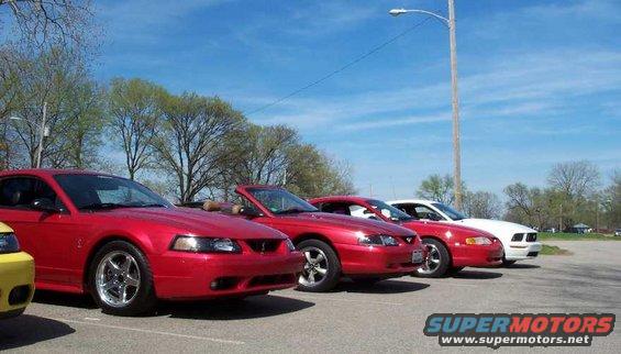 red-mustangs.jpg 