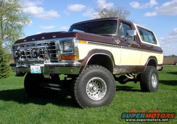 1979 Ford bronco grille guard #3