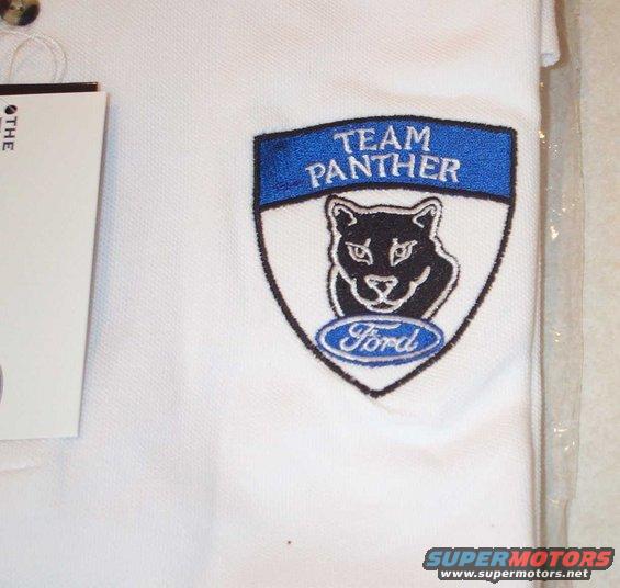 team-panther-shirt-logo.jpg A close up the of the logo.