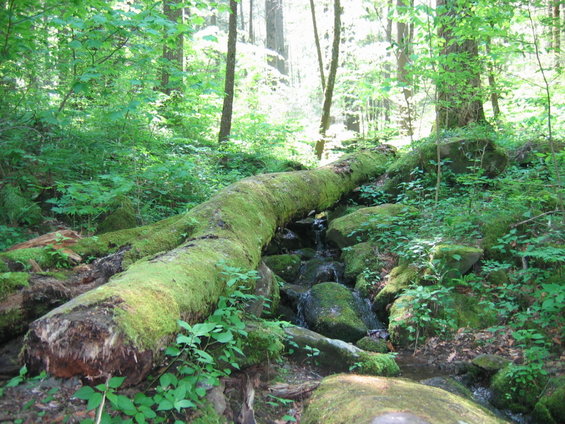 cherohala-skyway-ride-005.jpg 