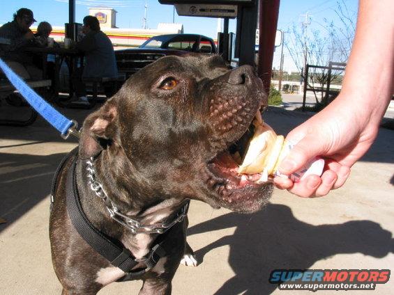 samp10.jpg He loves ice cream.